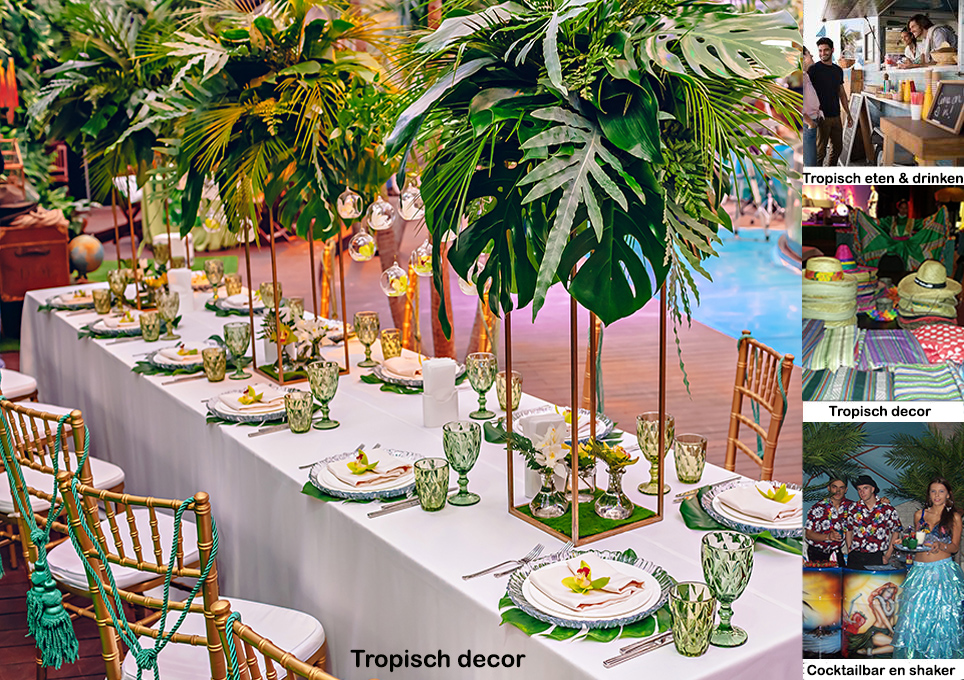 Limboshows voor tropische feesten
